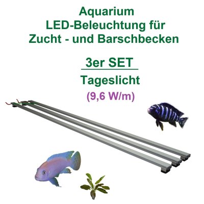 SET: 3x LED-Leuchtbalken mit Trafo, 30-200 cm (9,6W)
