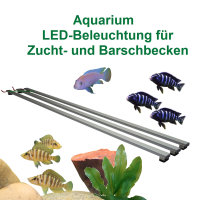 LED-Leuchtbalken für Zucht- und Barschbecken