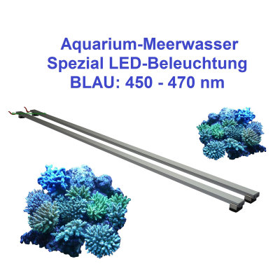 Spez. LED-Beleuchtung, Blau 450 - 470 nm