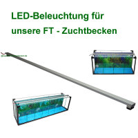 LED Beleuchtung /Leuchtbalken für FT-Zuchtbecken