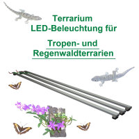 LED für Tropen- und Regenwaldterrarien