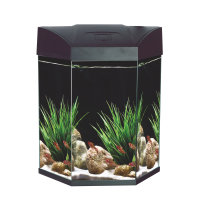 B-Ware!! 70 L Sechs eck- Aquarium inkl. LED-Beleuchtung, Filter u. Pumpe, schwarz