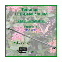 Regenwald Terra, 50cm, Set1: 1x LED- Leuchtbalken mit Trafo