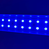 Meerwasser Aquarium - LED-Leuchtbalken 80 cm, 2 Leisten BLAU mit Trafo 60W u. Verteiler