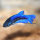 Siamesisches Kampffisch- Weibchen (Betta splendens female)