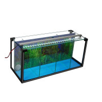 Zucht-Aquarium Betta 24 L mit LED-Beleuchtung, Luftpumpe...