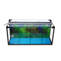 Zucht-Aquarium Betta 24 L mit LED-Beleuchtung, Luftpumpe u. Heizstab