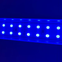 Meerwasser Aquarium - LED-Leuchtbalken 40 cm, 1 Leiste BLAU mit Trafo 60W
