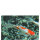 Gemeiner Goldfisch tief-rot (Carassius auratus) 7-12 cm