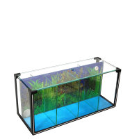 24L Betta Zucht- Aquarium mit 4 Kammern