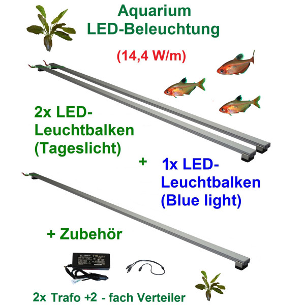 Aquarium LED 200cm, Set3: 3x Leuchtbalken (2x weiss/1x blau) mit Trafo + Verteiler