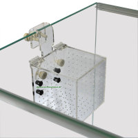 Aquarium Isolationsbox / Quarantänebox 10x10x10 cm