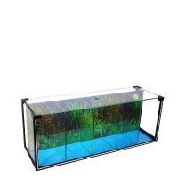 29L Betta Zucht- Aquarium mit 5 Kammern