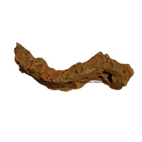 Lochgestein, S-Form, ca. 39x13x17 cm, Naturstein rot