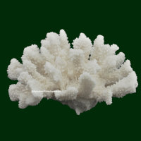 Steinkoralle, 21 x 15 x 11 cm, SPS, Blumenkohl Nachbildung weiß