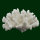 Steinkoralle, 21 x 15 x 11 cm, SPS, Blumenkohl Nachbildung weiß