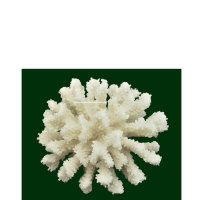 Steinkoralle, 15 x 16 x 8 cm, SPS (Pocillopora), Nachbildung weiß