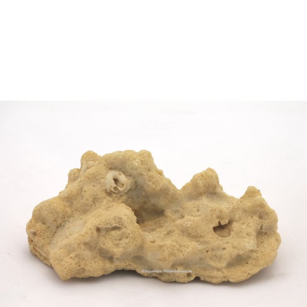 Felsen / Stein, 13,5 x 9,5 x 5,5 cm, Riffgestein, Nachbildung natur