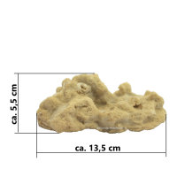 Felsen / Stein, 13,5 x 9,5 x 5,5 cm, Riffgestein, Nachbildung natur