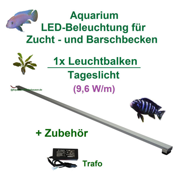Aquarium LED 30-200cm, Set1: 1x LED- Leuchtbalken mit Trafo, 9,6 W/m, für Zucht- u. Barschbecken