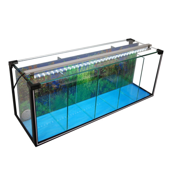 Zucht-Aquarium Betta 29 L mit LED-Beleuchtung, Luftpumpe u. Heizstab