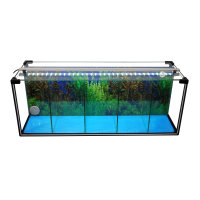 Zucht-Aquarium Betta 29 L mit LED-Beleuchtung, Luftpumpe u. Heizstab