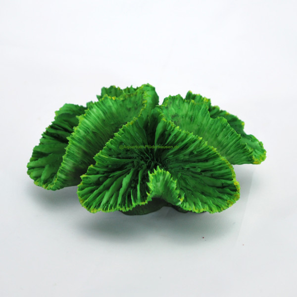 Steinkoralle LPS, Rosenkoralle (Lobophyllia), Nachbildung grün, 9 x 9 x 4 cm
