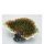 Steinkoralle (Scleractinia) Blumentier auf Stein, Nachbildung grün/weiß, 27,5 x 22 x 10 cm