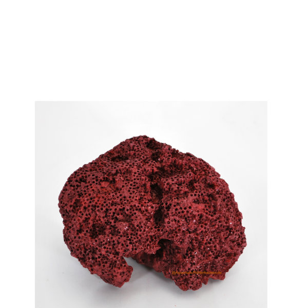 Steinkoralle, 10,5 x 8.5 x 6.5 cm, SPS großpolypig (Cyphastrea chalcidicum), Nachbildung rot