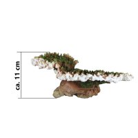 Steinkoralle, 36 x 21 x 11 cm, Blumentier (Scleractinia) auf Stein, Nachbildung grün/weiß