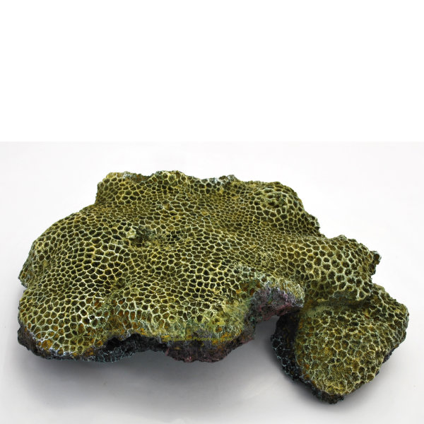 Riffgestein dunkel mit Hydnophora microconos, Nachbildung grün 33 x 21.5  x 10 cm