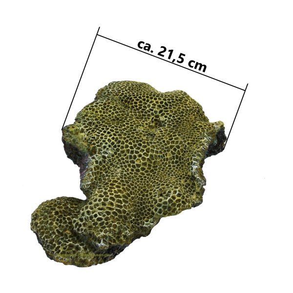 Riffgestein dunkel mit Hydnophora microconos, Nachbildung grün 33 x 21.5  x 10 cm
