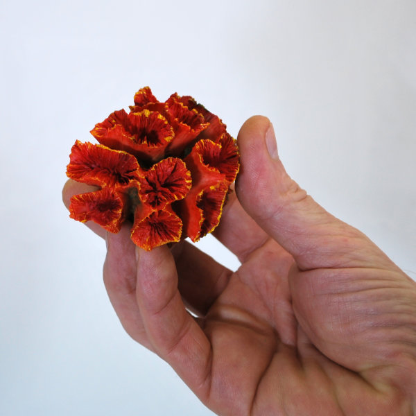 Pilzlederkoralle (Sarcophyton), Nachbildung rot, 8 x 5 x 5 cm