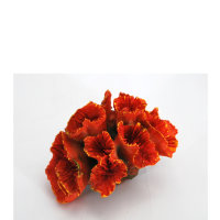 Pilzlederkoralle (Sarcophyton), Nachbildung rot, 8 x 5 x...