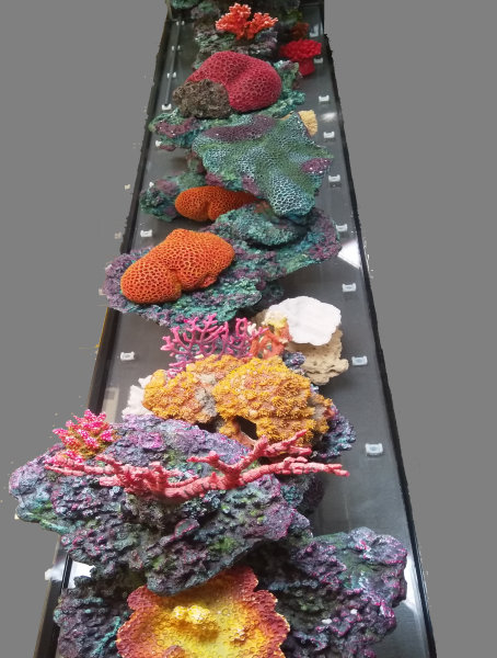 Kunst Korallen Bilder Aufbauten