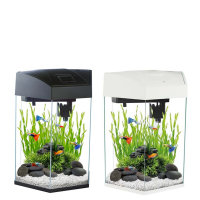 20 L Glas-Aquarium, inkl. LED, Filter, Pumpe, Sechseck