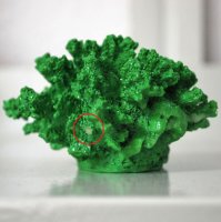 B-Ware!! Porenkoralle, 8,5 x 7,5 x 5 cm, SPS (Lime Green Rim), Nachbildung grün  