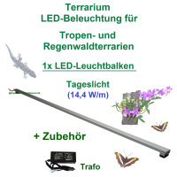 Regenwald Terra, 30-200cm, Set1: 1x LED- Leuchtbalken mit...