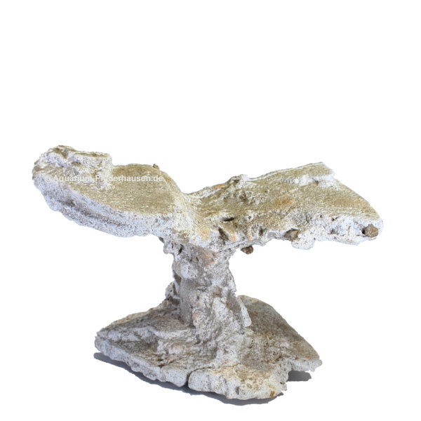 Sandstein Riff Deko, ca. 20 x 15 x 15 cm, Naturstein Beige