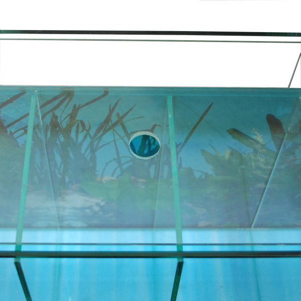 B-Ware !!  Zucht-Aquarium Betta 38 L mit LED-Beleuchtung, Luftpumpe u. Heizstab