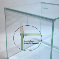 Weißglas-Aquarium Würfel 30 x 30 x 30 cm, 27 L, inkl. Lampe und Filter