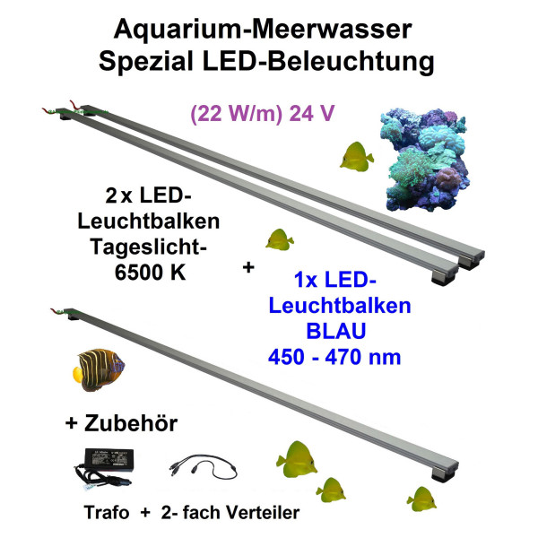 Meerwasser Aquarium - LED-Leuchtbalken 80cm, 3 Leisten, 2xTageslicht + 1x Blau mit Trafo 60W und Verteiler