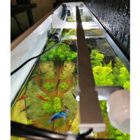 T5 LED Set 1: 1449mm Pflanzen Aquarium Beleuchtung (144,9cm) 30,5W 4583lm