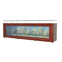 Siteboard Aquarium 200x38x55 cm, mit 2x Biofilter, rechteckig