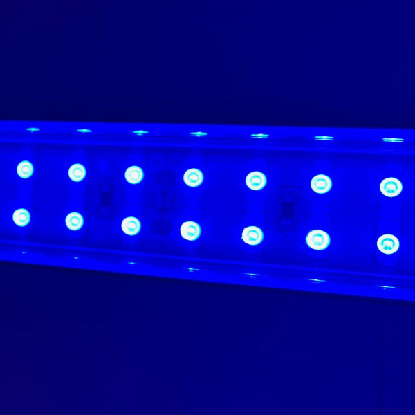 Meerwasser Aquarium - LED-Leuchtbalken 50 cm, 2 Leisten BLAU mit Trafo 60W u. Verteiler