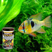 TROPICAL FISH FLAKES - alle Süß- wasser, tropische Zierfische, 1200 ml / 200 g