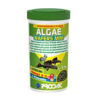 ALGAE WAFERS MINI - Welstabs mit Holz, für alle pflanzenfressenden Bodenfische, 250 ml / 135 g