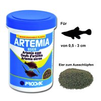 ARTEMIA EGGS - Eier zum Ausschlüpfen, 50 ml / 15 g