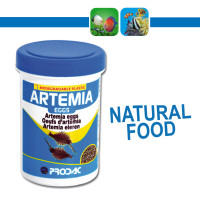 ARTEMIA EGGS - Eier zum Ausschlüpfen, 1000 ml / 454 g