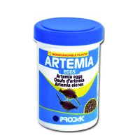 ARTEMIA EGGS - Eier zum Ausschlüpfen